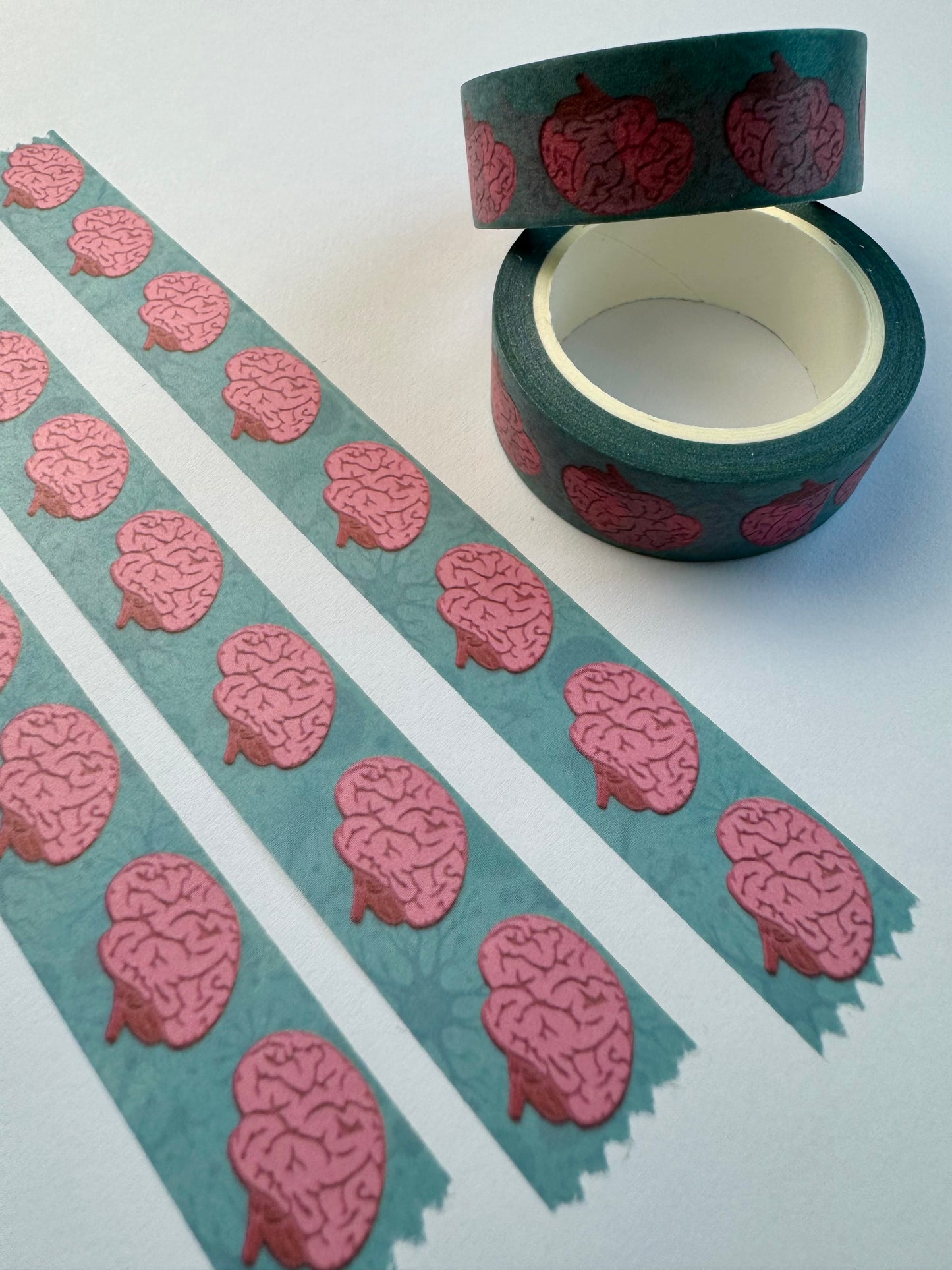 Brain anatomy washi tape