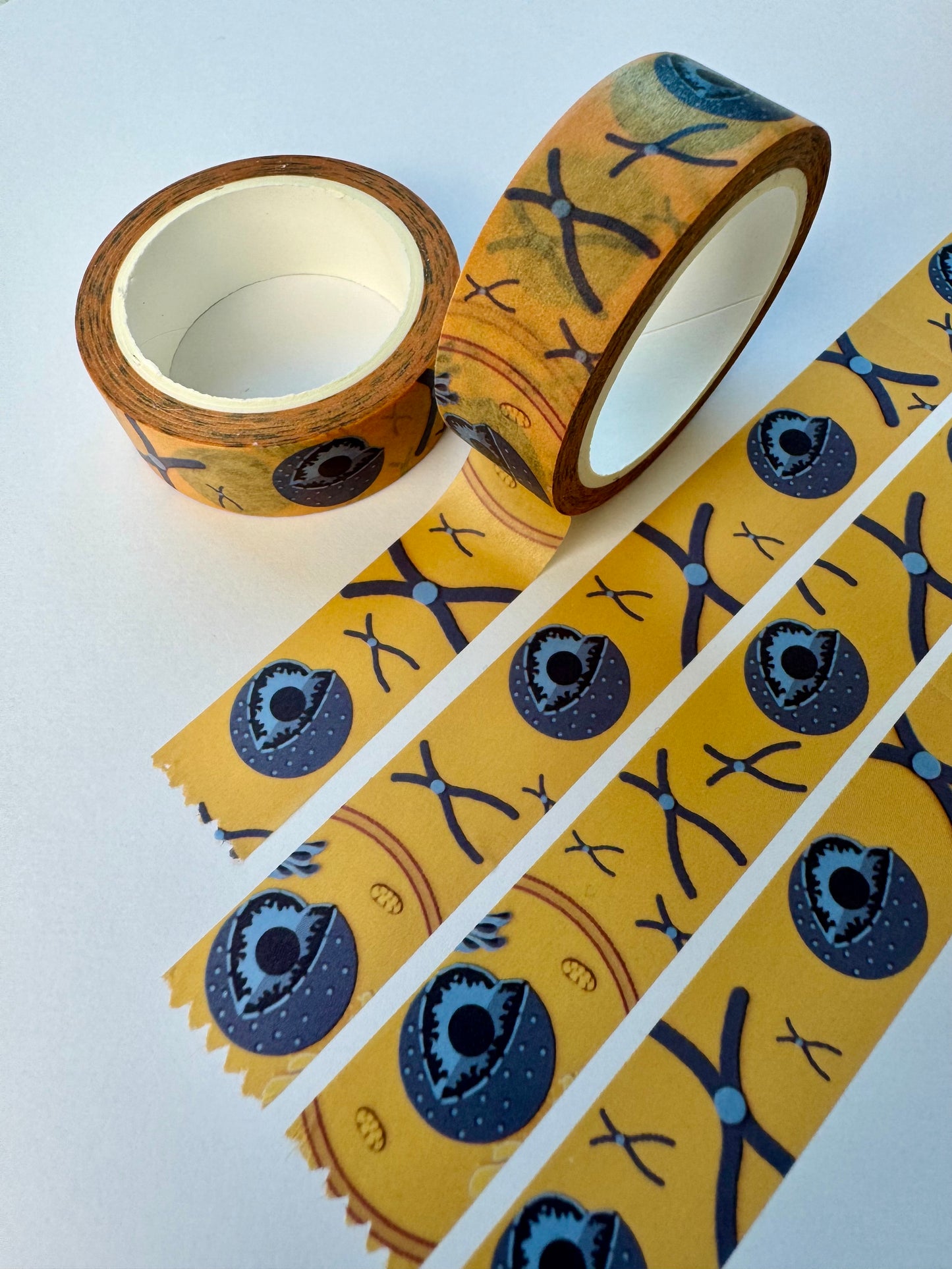 Cell nucleus and chromosomes washi tape