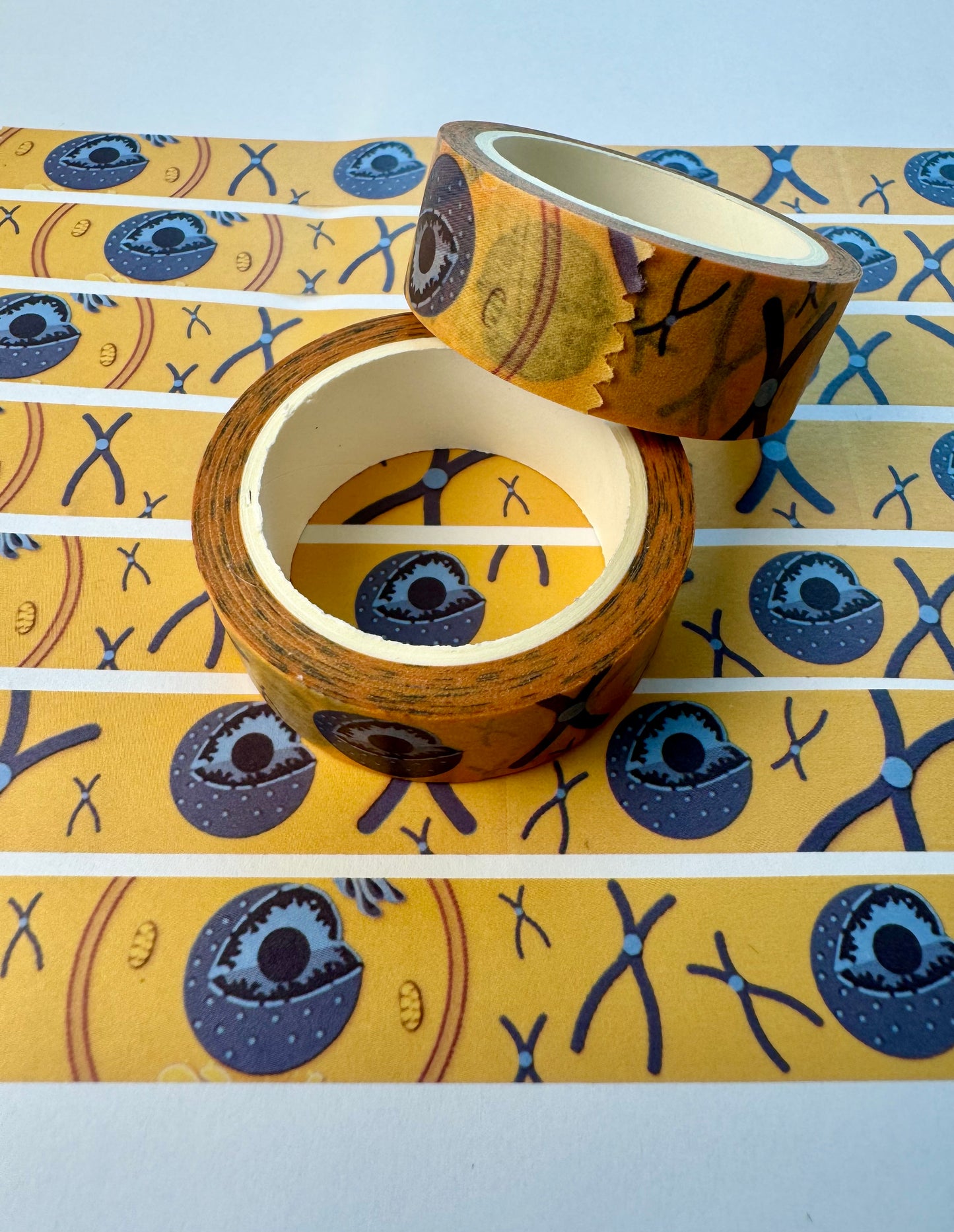 Cell nucleus and chromosomes washi tape