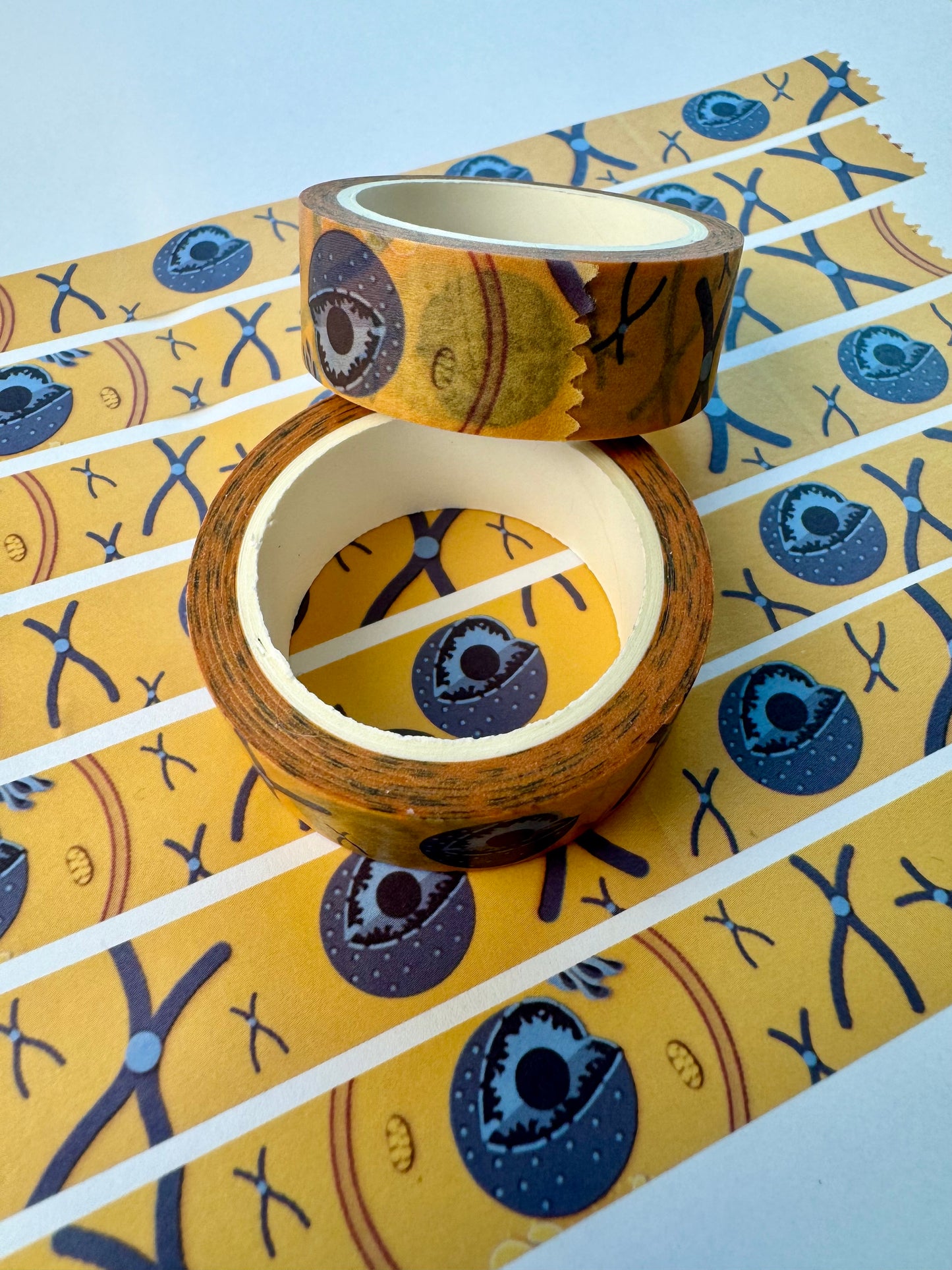 Cell nucleus and chromosomes washi tape